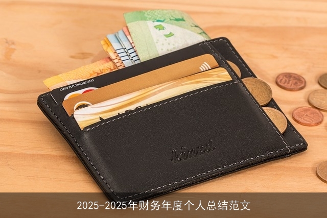 2025-2025年财务年度个人总结范文