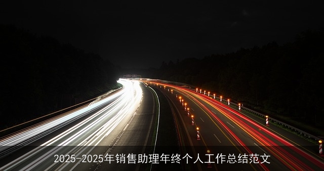 2025-2025年销售助理年终个人工作总结范文