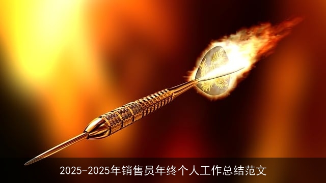 2025-2025年销售员年终个人工作总结范文