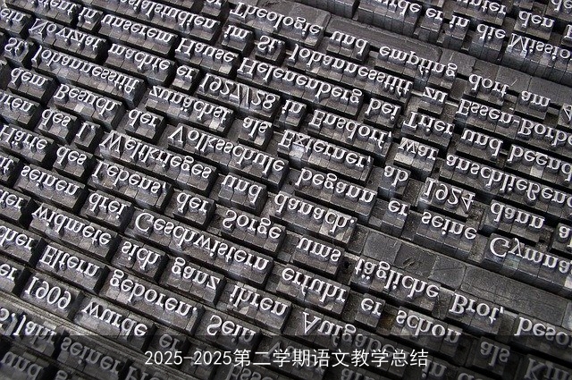 2025-2025第二学期语文教学总结
