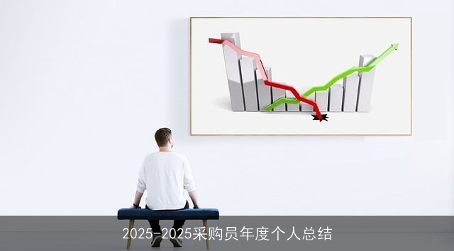 2025-2025采购员年度个人总结