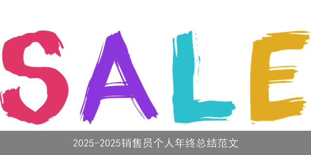 2025-2025销售员个人年终总结范文