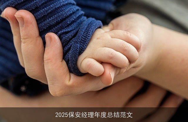 2025保安经理年度总结范文