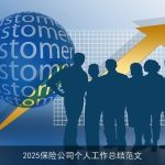 2025保险公司个人工作总结范文