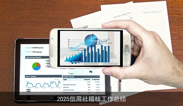 2025信用社稽核工作总结