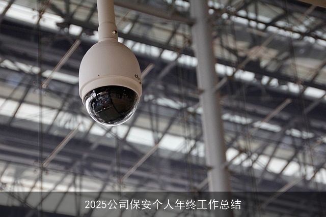 2025公司保安个人年终工作总结