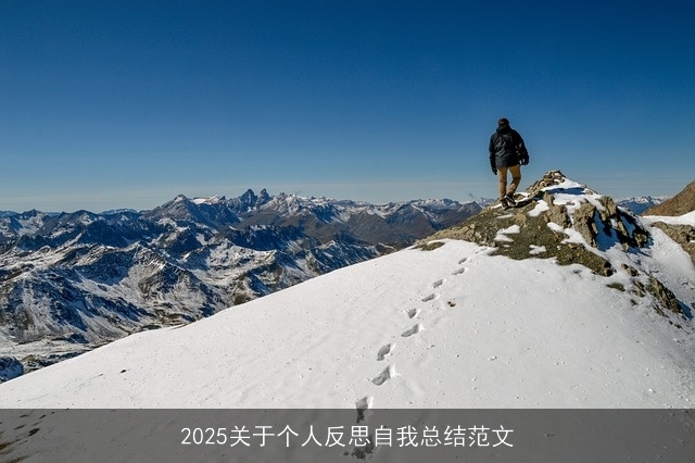 2025关于个人反思自我总结范文