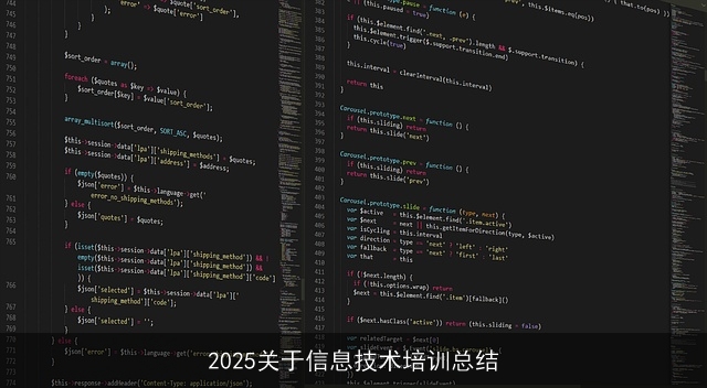 2025关于信息技术培训总结