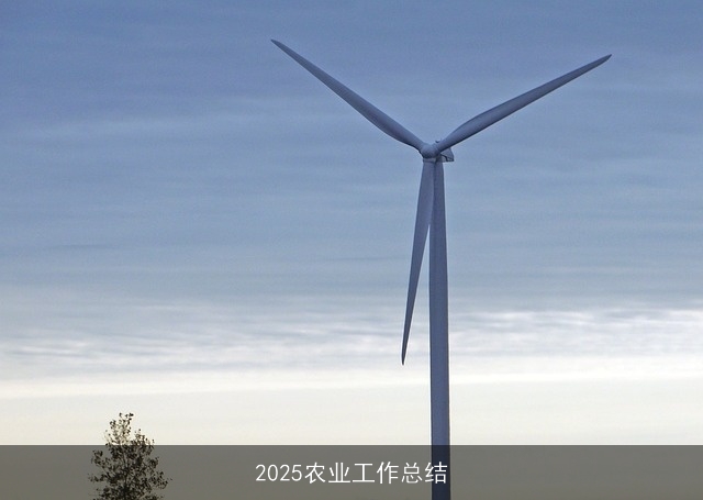 2025农业工作总结