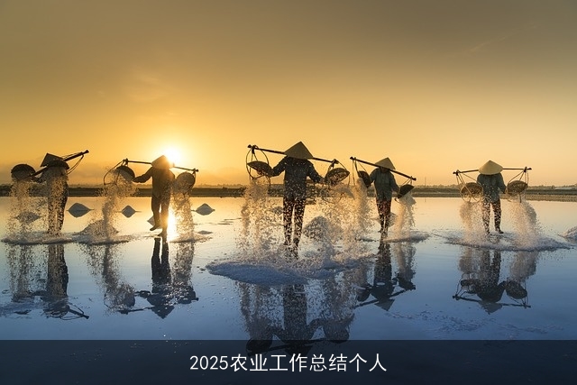 2025农业工作总结个人