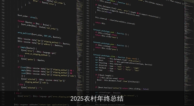 2025农村年终总结