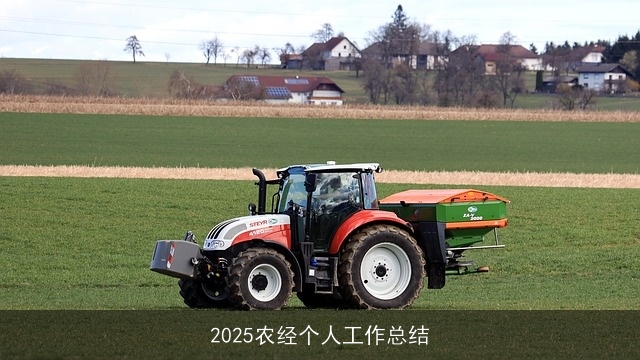 2025农经个人工作总结