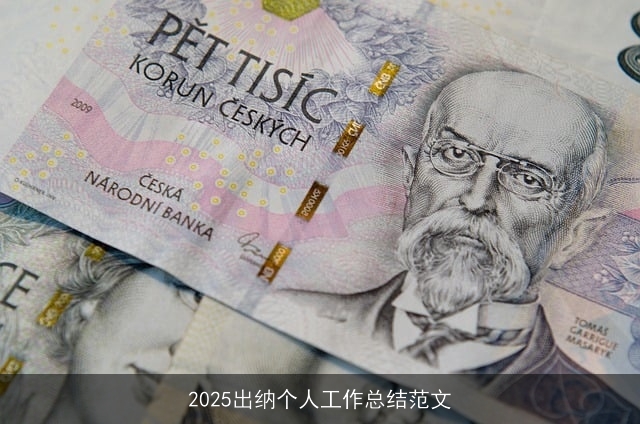 2025出纳个人工作总结范文