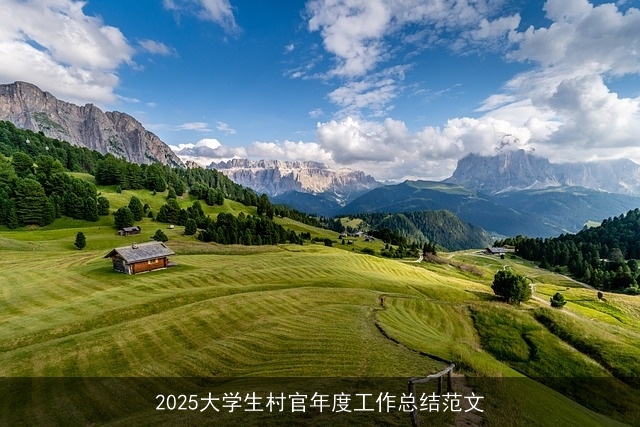 2025大学生村官年度工作总结范文