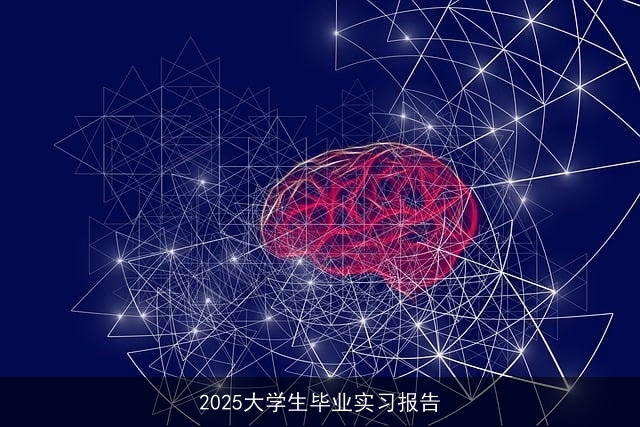 2025大学生毕业实习报告