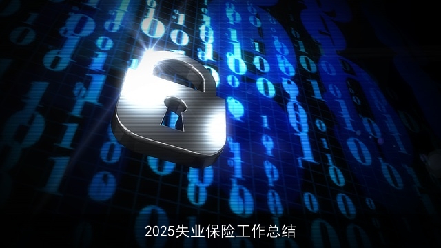 2025失业保险工作总结