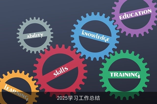 2025学习工作总结