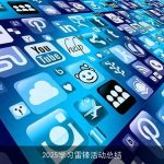 2025学习雷锋活动总结