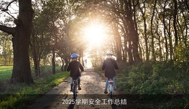 2025学期安全工作总结