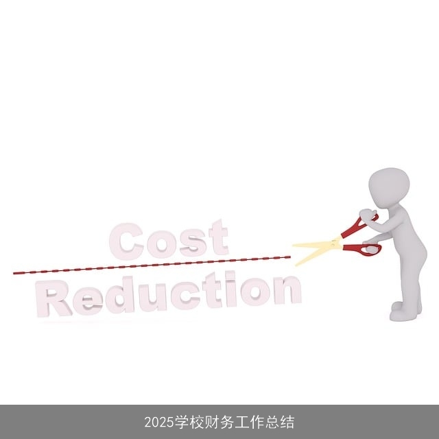 2025学校财务工作总结