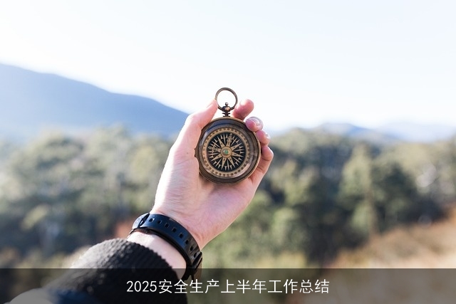 2025安全生产上半年工作总结