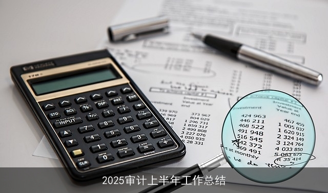 2025审计上半年工作总结
