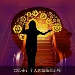 2025审计个人总结简单汇报