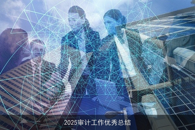 2025审计工作优秀总结