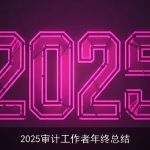 2025审计工作者年终总结
