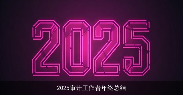 2025审计工作者年终总结