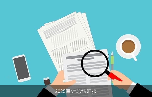 2025审计总结汇报