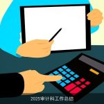 2025审计科工作总结