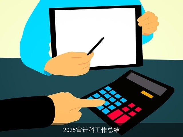 2025审计科工作总结