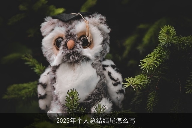 2025年个人总结结尾怎么写