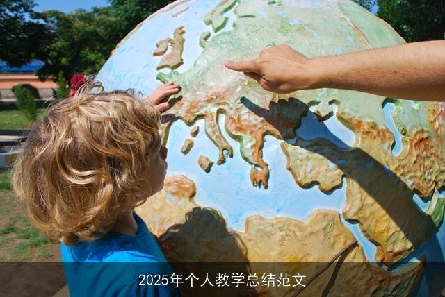 2025年个人教学总结范文