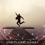 2025年个人试用期工作总结范文