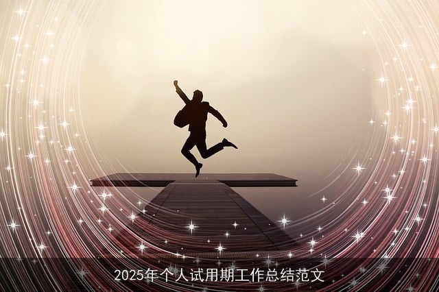 2025年个人试用期工作总结范文