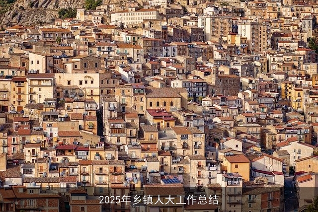 2025年乡镇人大工作总结