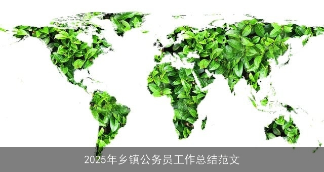 2025年乡镇公务员工作总结范文