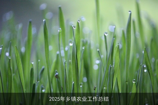 2025年乡镇农业工作总结