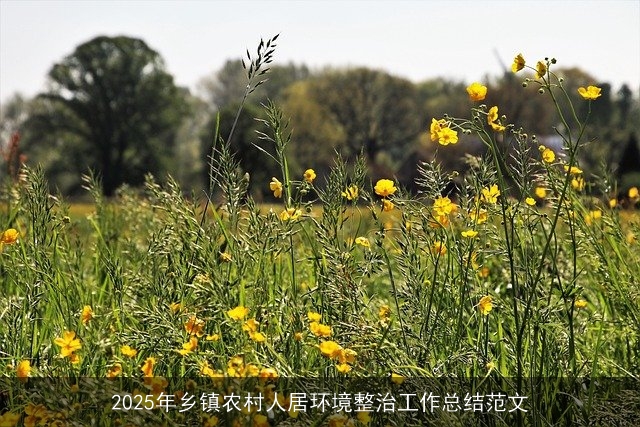 2025年乡镇农村人居环境整治工作总结范文