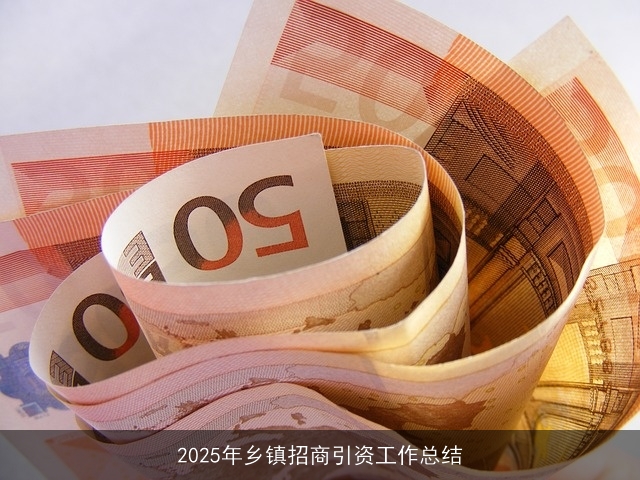 2025年乡镇招商引资工作总结