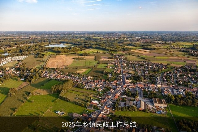2025年乡镇民政工作总结