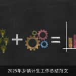 2025年乡镇计生工作总结范文