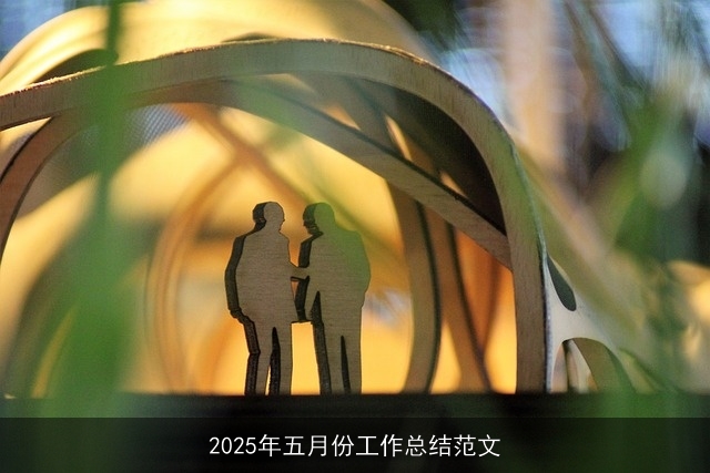 2025年五月份工作总结范文
