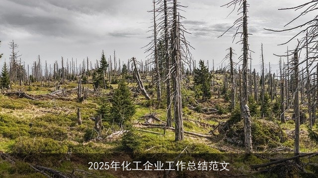 2025年化工企业工作总结范文