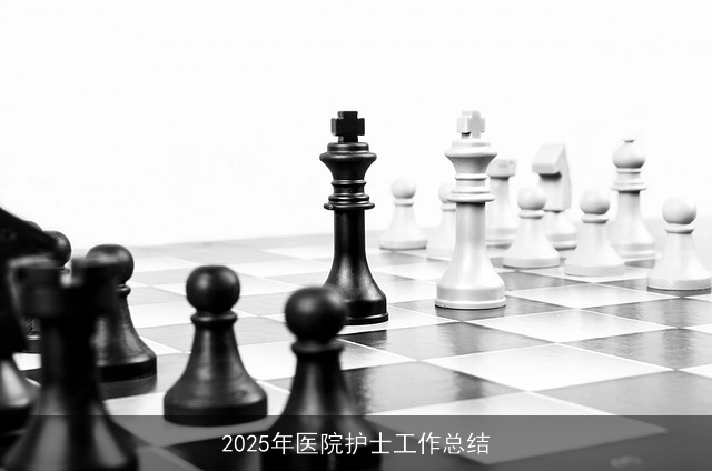 2025年医院护士工作总结