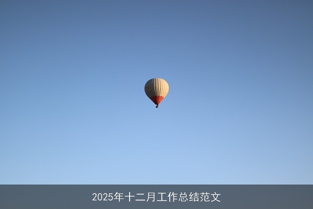 2025年十二月工作总结范文