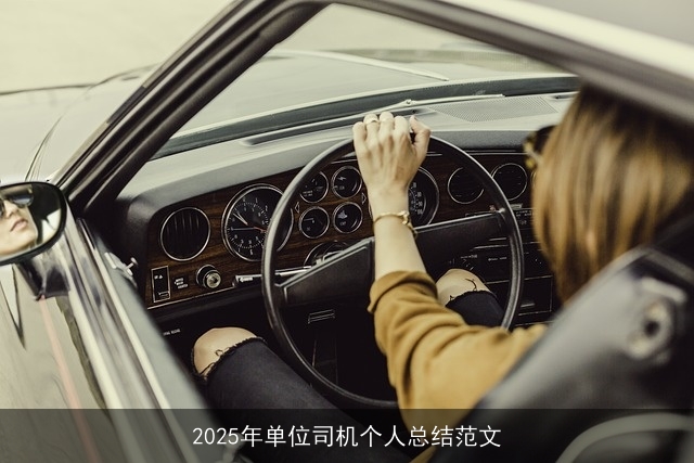 2025年单位司机个人总结范文