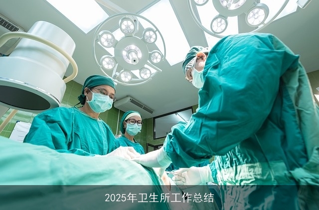 2025年卫生所工作总结